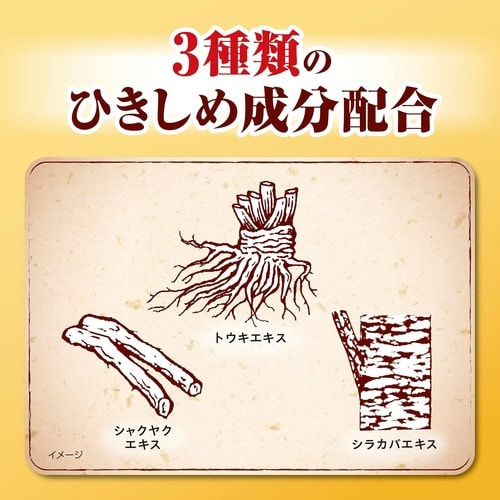 ひきしめ生葉100g