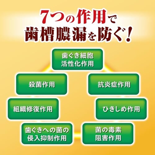 ひきしめ生葉100g