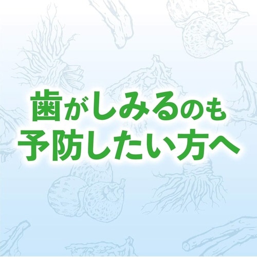 生葉知覚過敏症状予防タイプ100g