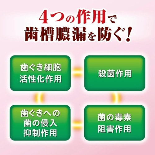 生葉知覚過敏症状予防タイプ100g