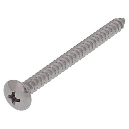 ステン タッピング トラス 4X50 25P