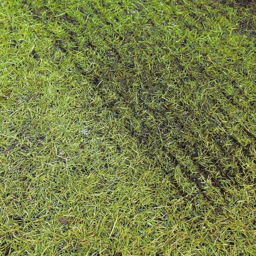 6077037 根切り刃