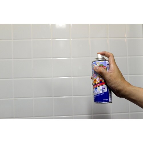 カビドメスプレー 300ml