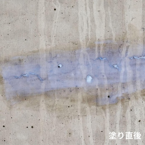 超強力ウレタン防水材リークナインクリヤ800g