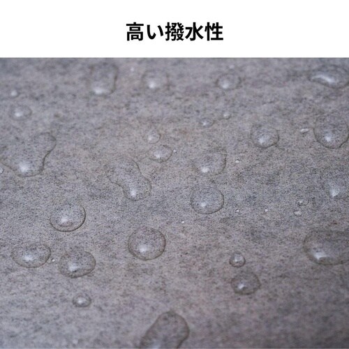 超強力ウレタン防水材リークナインクリヤ200g