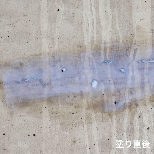 超強力ウレタン防水材リークナインクリヤ200g