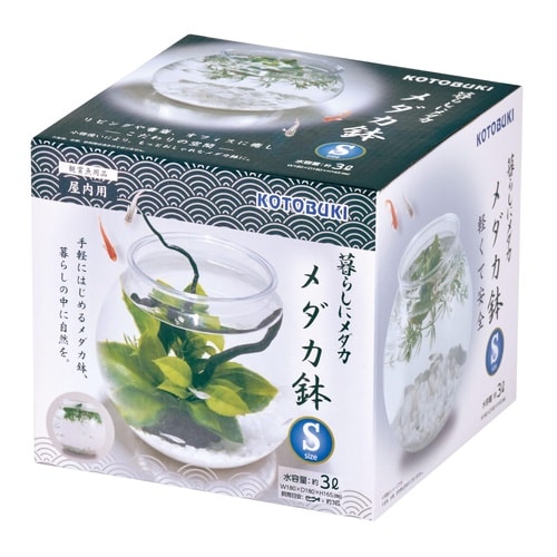 メダカ メダカ鉢S