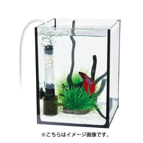 バイオミニフィルター