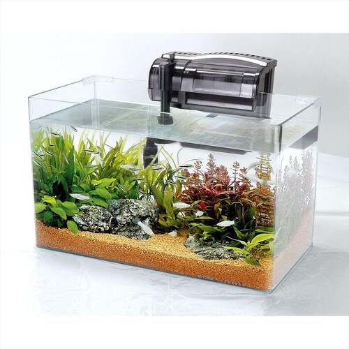 プロフィットフィルターBig