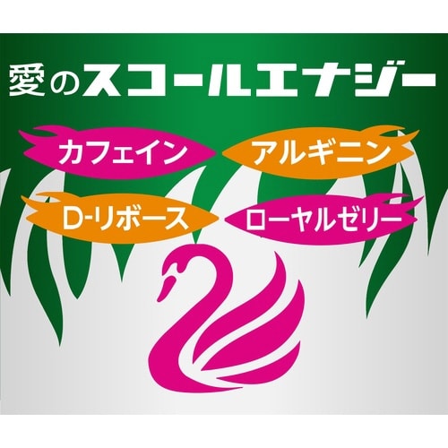 スコール エナジー250ml20本