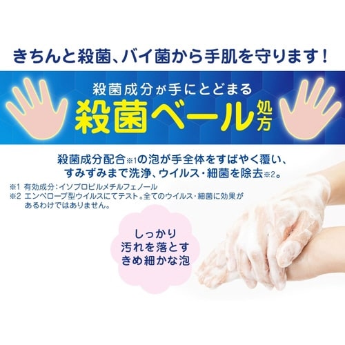 キレイキレイ薬用泡HSフルーツミックス替450ml