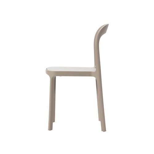 NEW NORUN CHAIR Brow