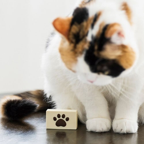 シリコンカバー針ケース ねこのあし ピンク×5