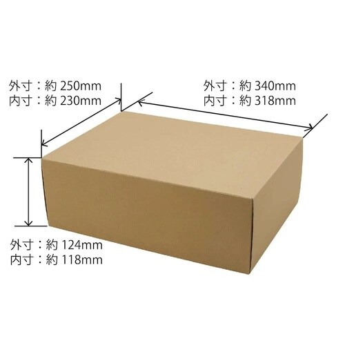 収納 フタ付きボックス Lサイズ クラフト×5