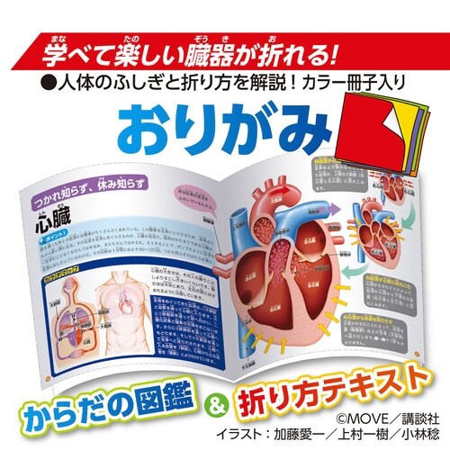 MOVE人体のふしぎおりがみ×10