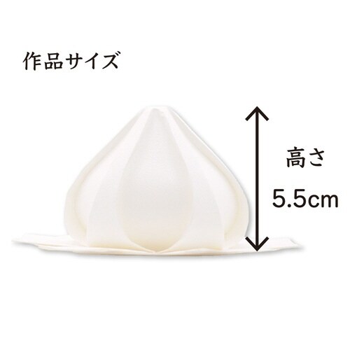 曲線折紙 ホイップクリーム×2