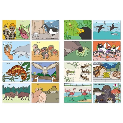 B5ぬりえ ざんねんないきもの事典×20