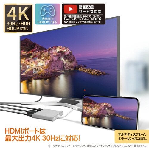 Type−CtoHDMI(4K/30Hz)
