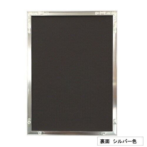 NEWライトフレーム(低反射) A2 SV 2枚入