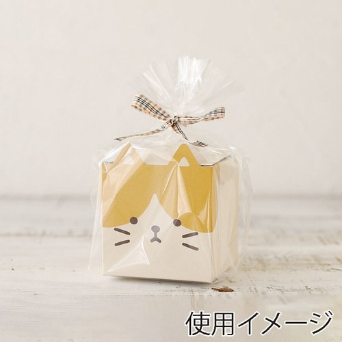 食品箱 95441 どうぶつギフト箱 ネコ