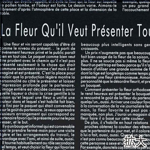 62210 W #20 ホワイト