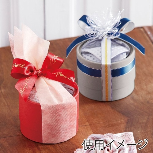 ギフトBOXドームBOX88071#47