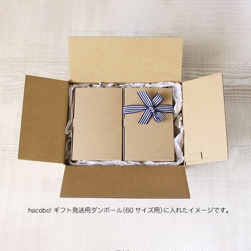 箱 ギフトボックス ライトプルーフ100