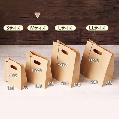 手提げ紙袋 イーグリップ クラフト M500