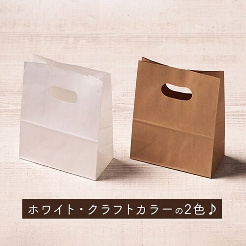 手提げ紙袋 イーグリップ ホワイト S500