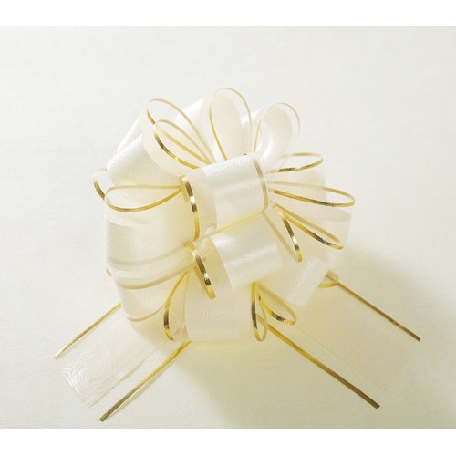 リボンワンタッチリボンフラアリーNo.1バニラ