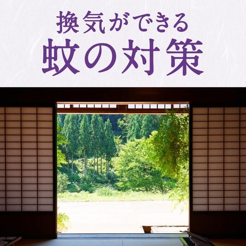アースノーマット 取替えボトル90日 無香料 3本