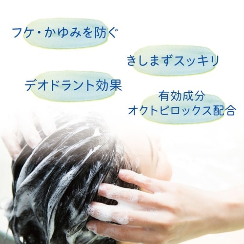 オクト 薬用シャンプー 1箱(24本入)