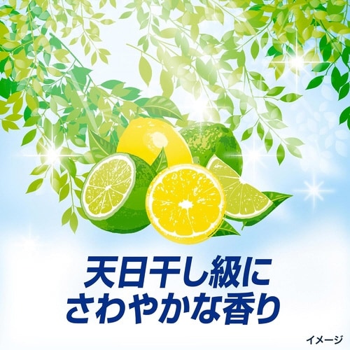 アリエールジェル部屋干しプラス 替 625G