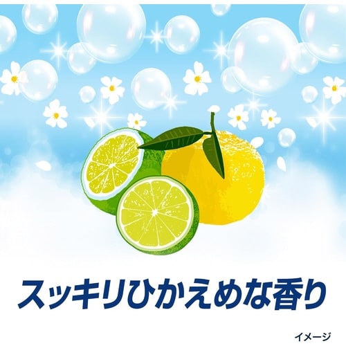 アリエールジェル除菌プラス 替 1000G