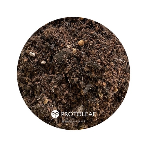 クンシランの土 14L