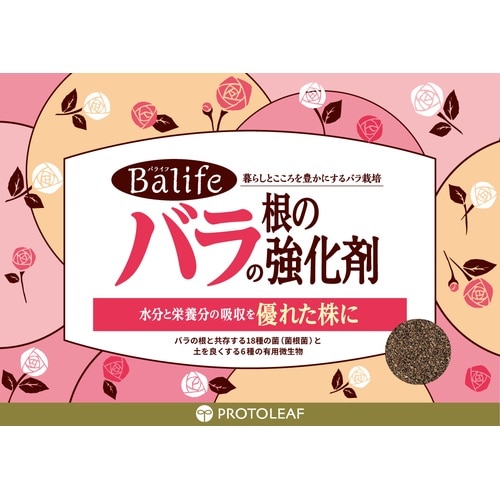 バラの根の強化剤 200g