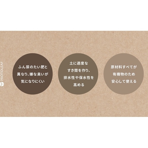 コーヒーの恵み(紙包材) 5L