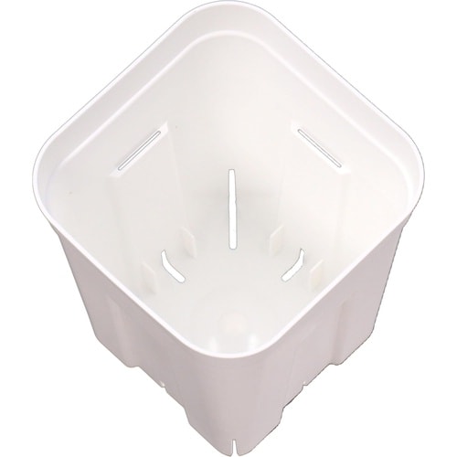 プレステラ 深型105 5個組 ホワイト