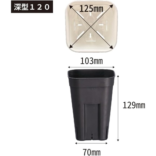 プレステラ 深型120 5個組 ホワイト