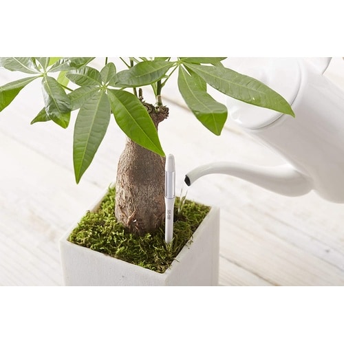 サスティー シングルパック S グリーン C−00