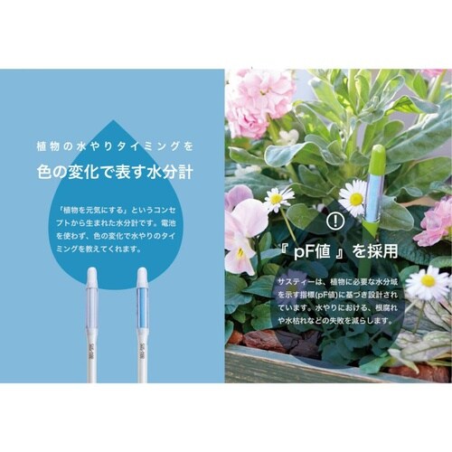 サスティー バルク M ホワイト C−0032−W