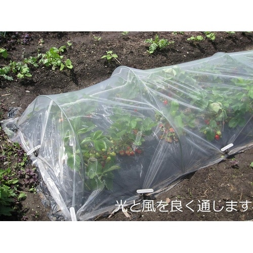 防虫ネット AJメッシュシート 1.35X5m(タ