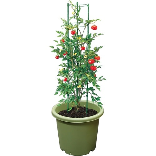 AZベジポット 10号 グリーン