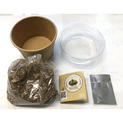 サボテン 栽培キット カップ、タネ、土、説明書付き