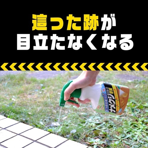 ナメクジ撃滅スプレータイプ 500ml