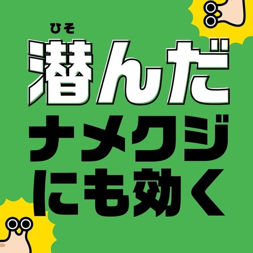 ナメクジ撃滅スプレータイプ 500ml