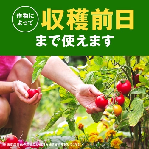 農薬 野菜うましエコパック 850ml