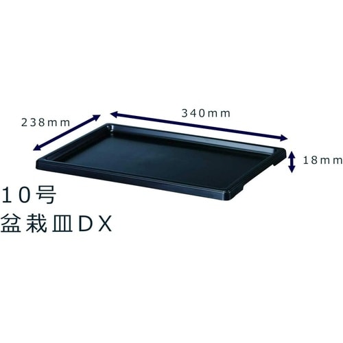 盆栽皿DX 10号 ブラック