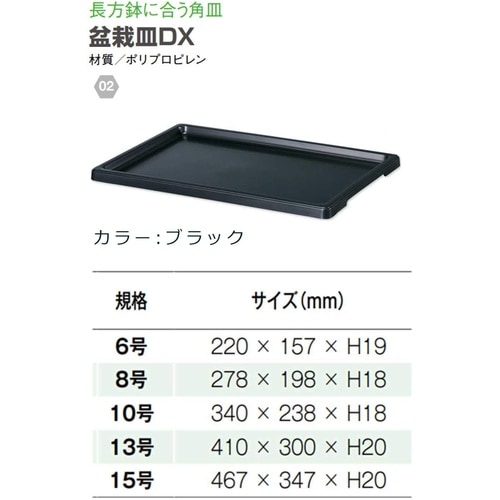 盆栽皿DX 10号 ブラック