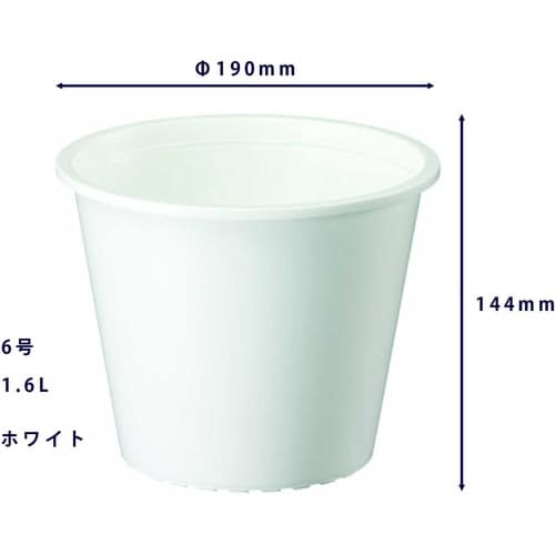 プラ鉢 6号 ホワイト